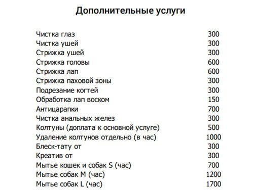 dopolnitelnye-uslugi-dlja-salona-dlja-koshek